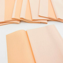 Double Sided Crepe Paper ~ Gloria Doublette from Germany ~ Apricot and Light Apricot
